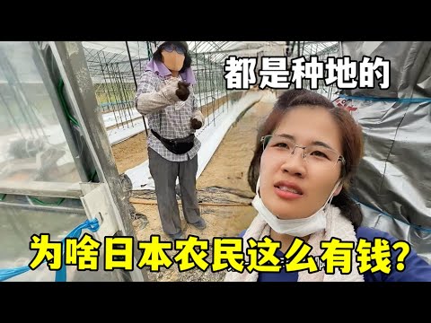 楊麗娜轉投,巴黎聖日耳,曼女足,世界杯赛程,2026世界杯时间,比赛城市,赛事安排,全球关注