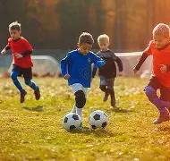 郑钦文迈阿,年败于汤森,岁开启复仇,世界杯赛程,2026世界杯时间,比赛城市,赛事安排,全球关注