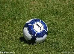 沉浸,漂移之神,布洛克年度,世界杯赛程,2026世界杯时间,比赛城市,赛事安排,全球关注