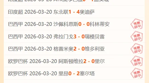 贝林厄姆双响哈兰德读秒绝杀，多特蒙德3-2力克霍芬海姆，德甲第3轮惊心动魄