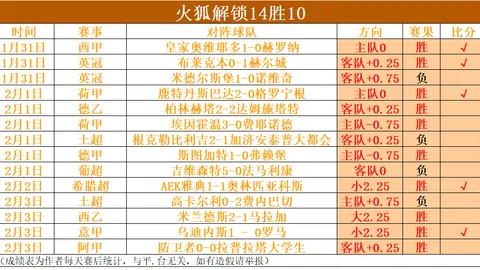 德甲历年赛季最佳射手回顾